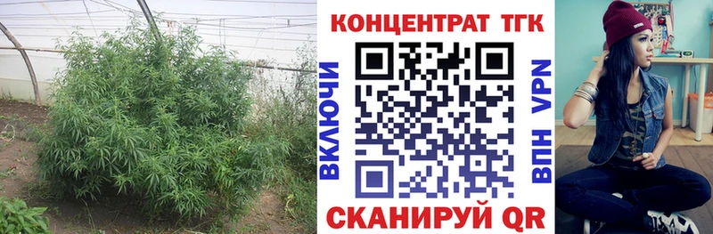 blacksprut как зайти  закладка  Куйбышев  ТГК гашишное масло 