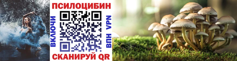 цены наркотик  мориарти состав  Псилоцибиновые грибы Psilocybine cubensis  Куйбышев 